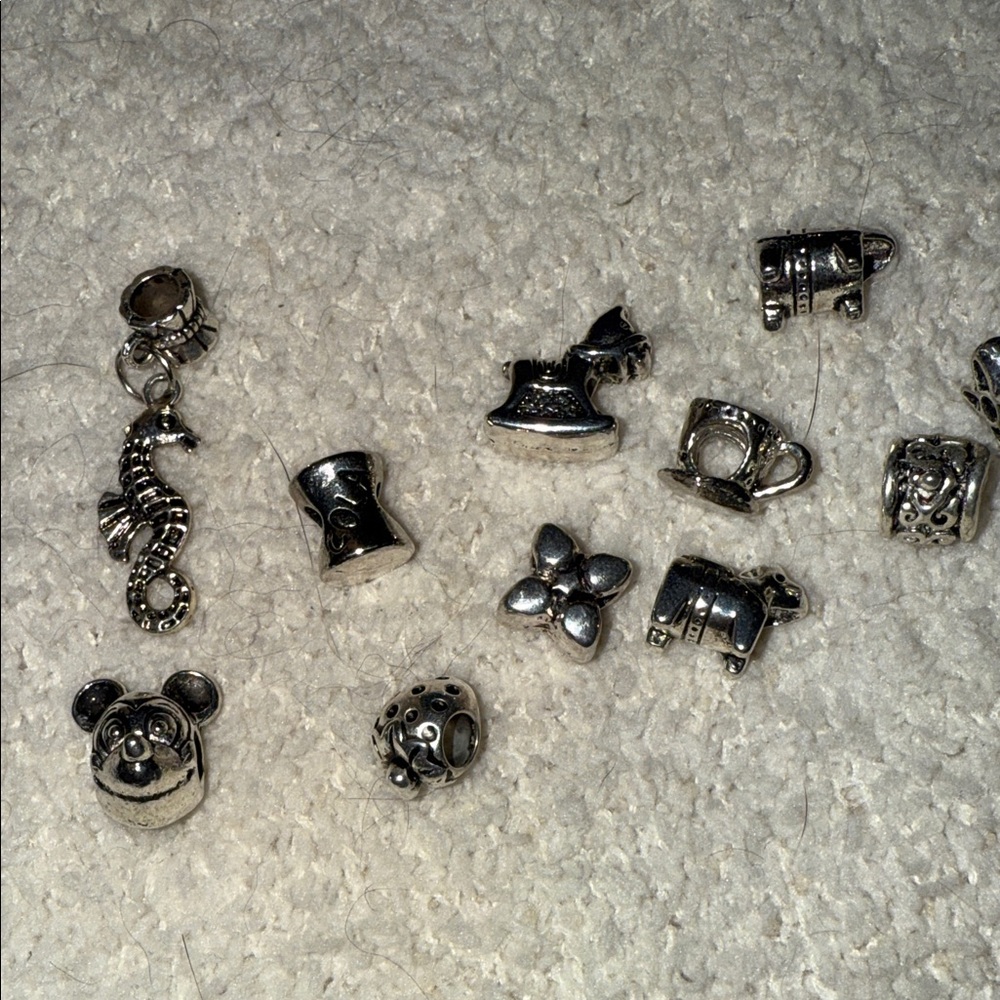 Silver Charm Collection - Picture 5 of 5